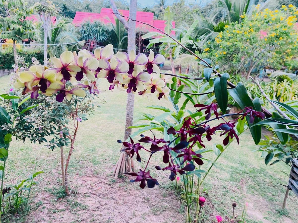 Nadia Resort Kohjum Koh Jum Exteriér fotografie