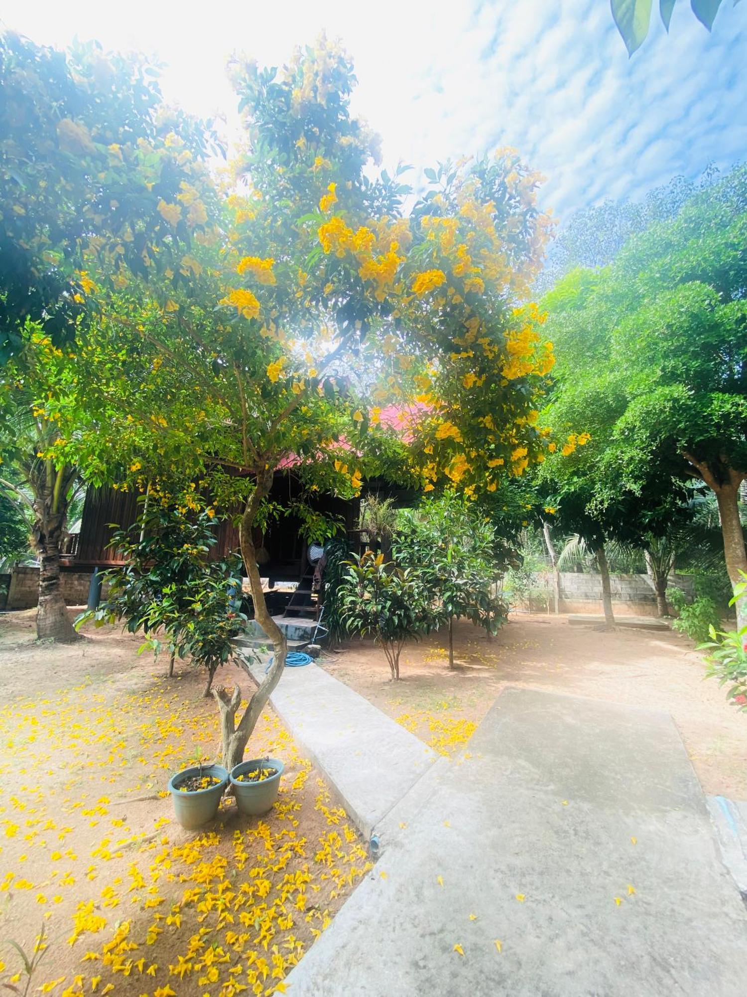 Nadia Resort Kohjum Koh Jum Exteriér fotografie