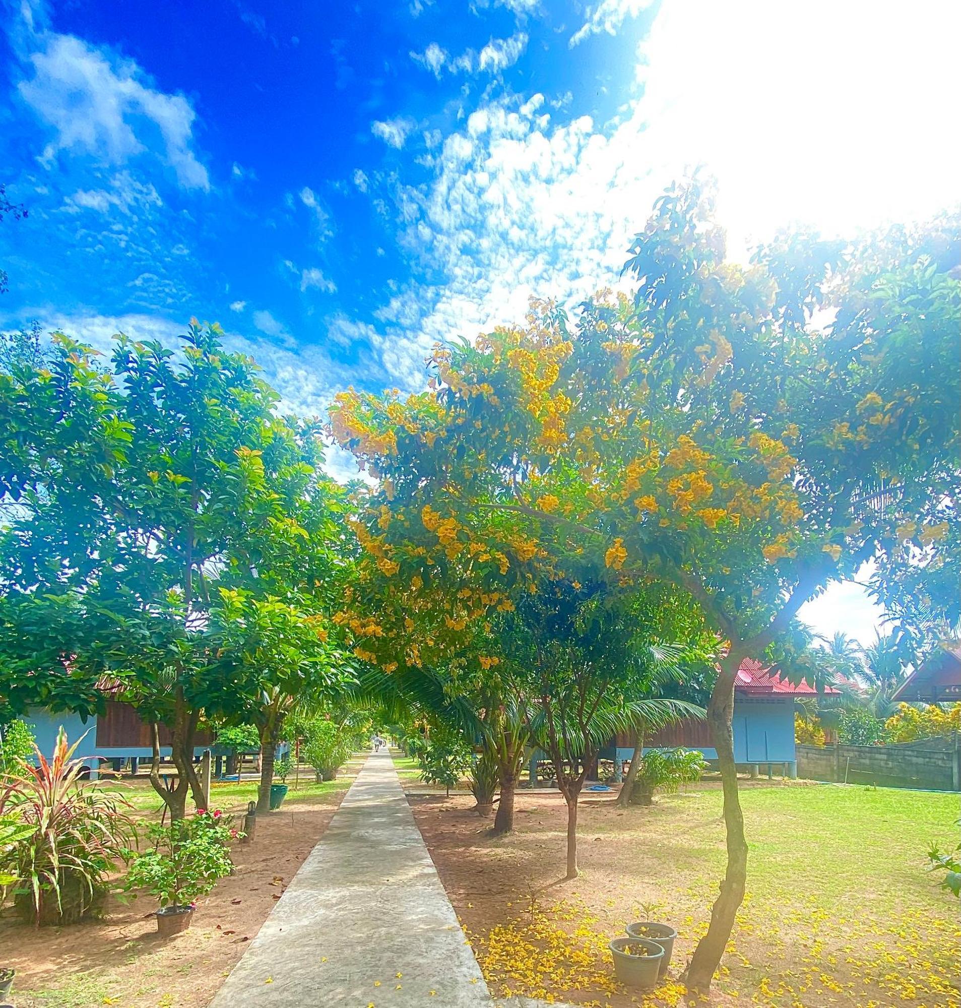 Nadia Resort Kohjum Koh Jum Exteriér fotografie