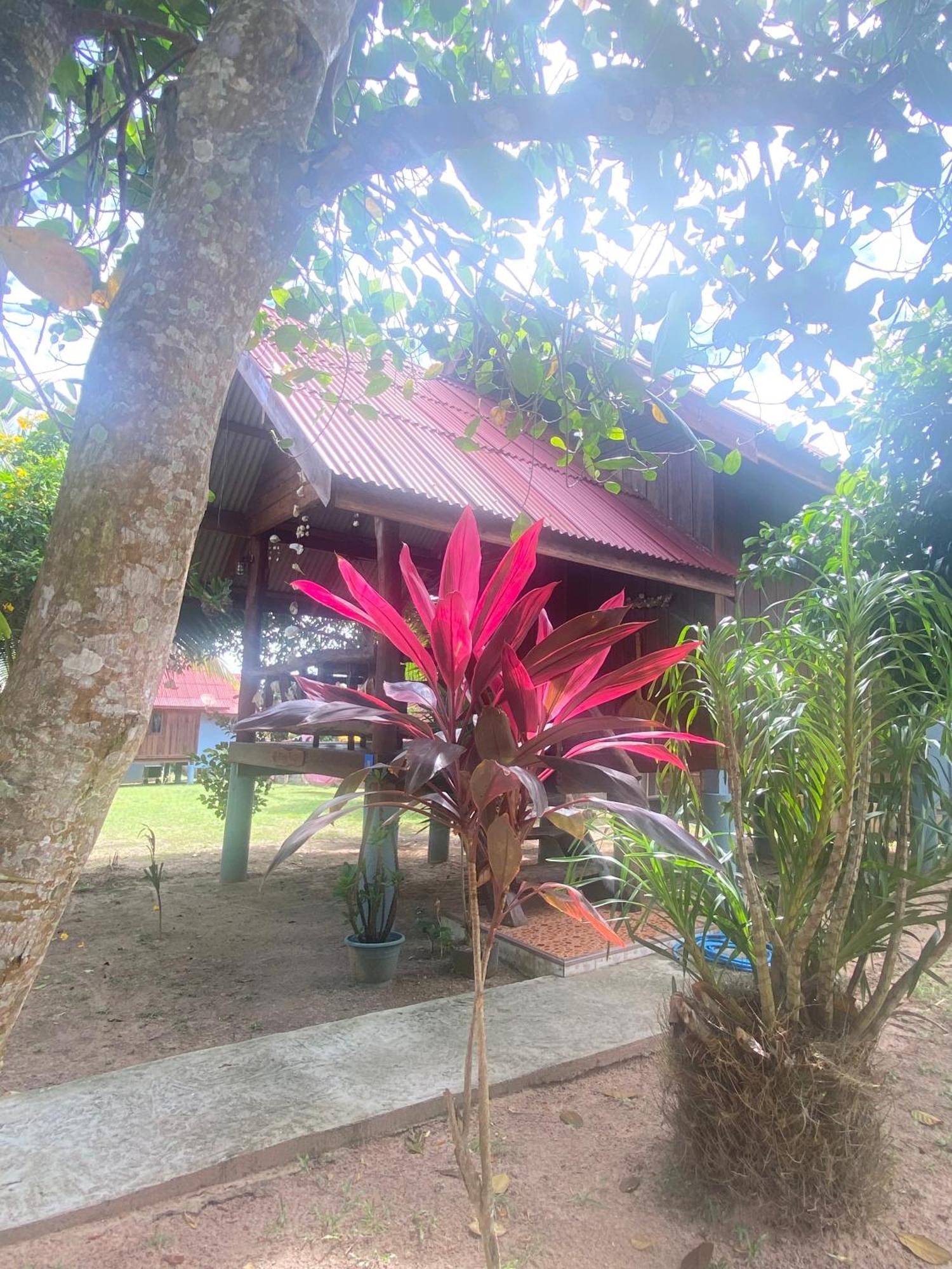 Nadia Resort Kohjum Koh Jum Exteriér fotografie